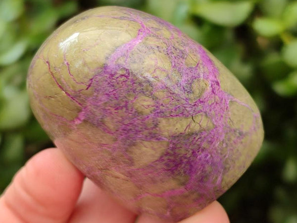 Polished Stichtite Standing Free Forms x 6 From Barberton, South Africa