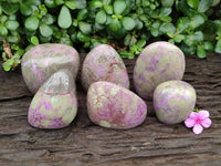 Polished Stichtite Standing Free Forms x 6 From Barberton, South Africa