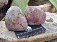 Polished Stichtite Standing Free Forms x 6 From Barberton, South Africa