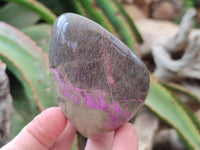 Polished Stichtite Standing Free Forms x 6 From Barberton, South Africa