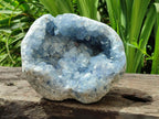 Natural Blue Celestite Geode Specimen x 1 From Sakoany, Madagascar