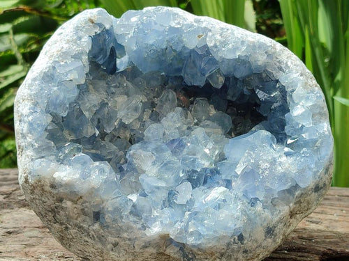 Natural Blue Celestite Geode Specimen x 1 From Sakoany, Madagascar - Toprock Gemstones and Minerals 
