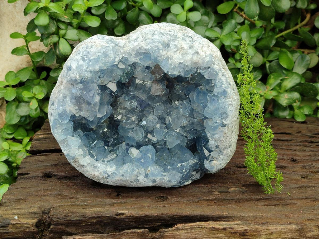 Natural Blue Celestite Geode Specimen x 1 From Sakoany, Madagascar