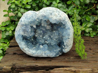 Natural Blue Celestite Geode Specimen x 1 From Sakoany, Madagascar