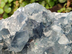 Natural Blue Celestite Geode Specimen x 1 From Sakoany, Madagascar