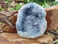 Natural Blue Celestite Geode Specimen x 1 From Sakoany, Madagascar