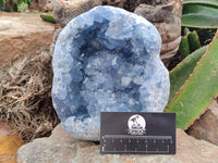 Natural Blue Celestite Geode Specimen x 1 From Sakoany, Madagascar