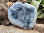 Natural Blue Celestite Geode Specimen x 1 From Sakoany, Madagascar