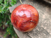 Polished Carnelian Agate Gemstone Spheres x 6 From Madagascar