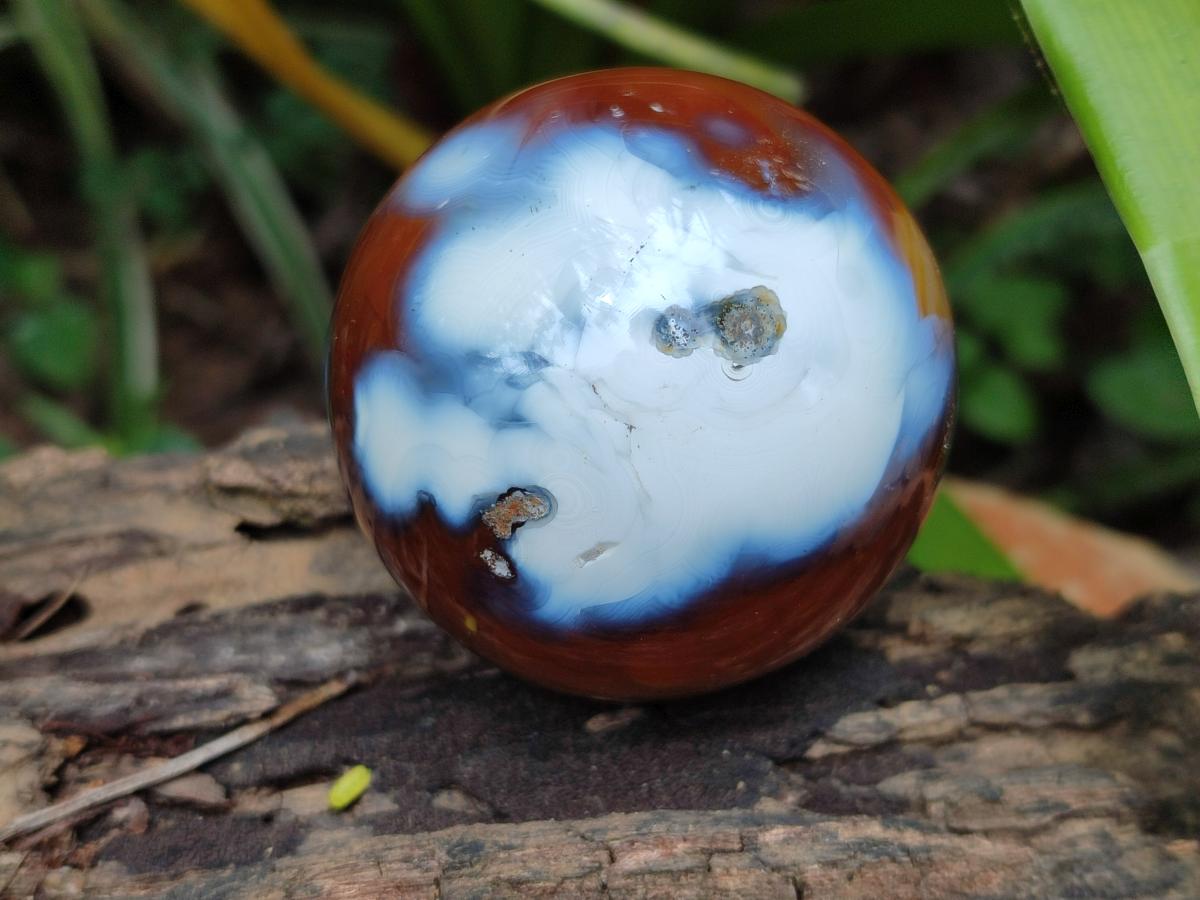 Polished Carnelian Agate Gemstone Spheres x 6 From Madagascar - Toprock Gemstones and Minerals 