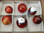 Polished Carnelian Agate Gemstone Spheres x 6 From Madagascar - Toprock Gemstones and Minerals 