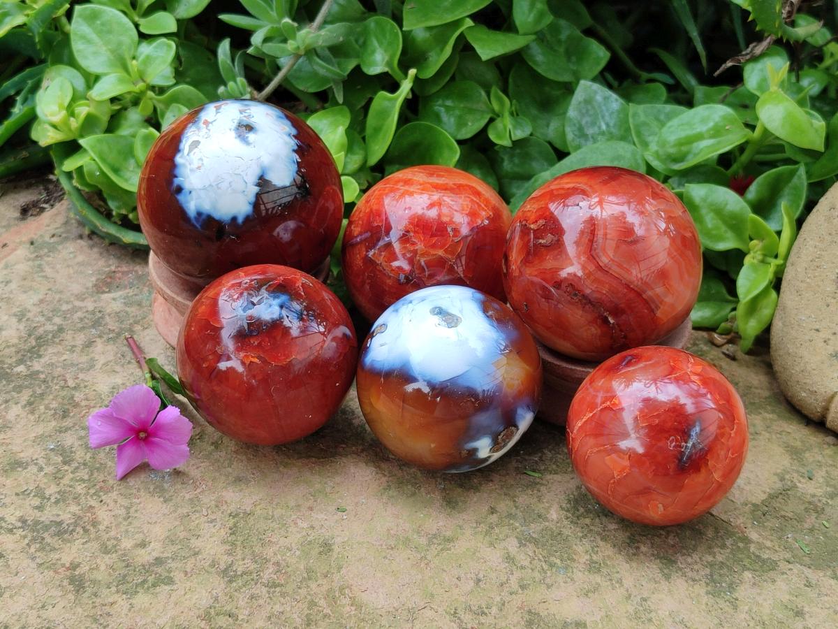 Polished Carnelian Agate Gemstone Spheres x 6 From Madagascar