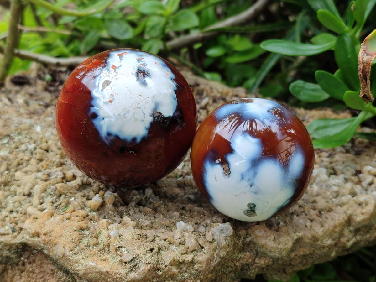 Polished Carnelian Agate Gemstone Spheres x 6 From Madagascar - Toprock Gemstones and Minerals 