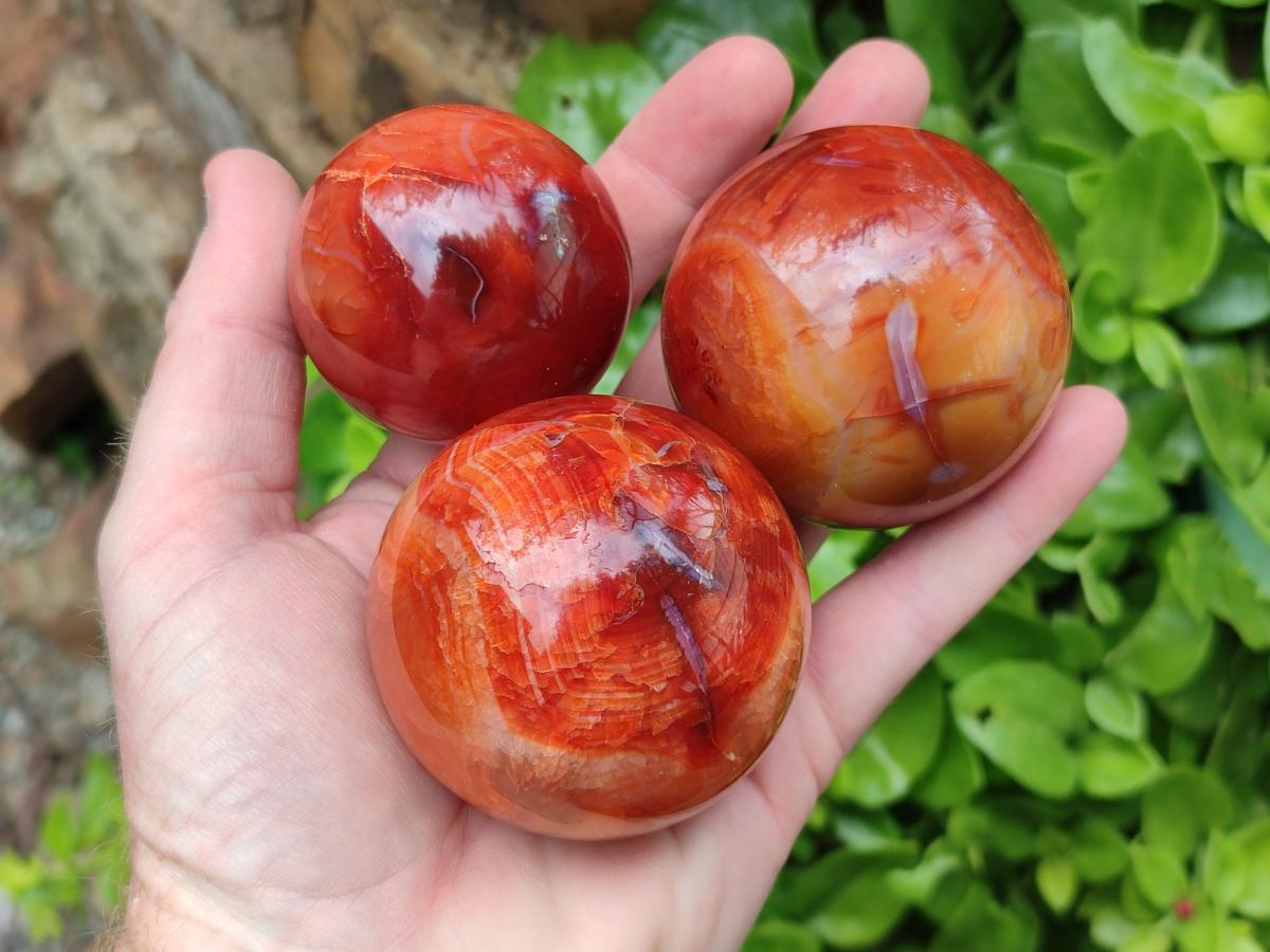 Polished Carnelian Agate Gemstone Spheres x 6 From Madagascar
