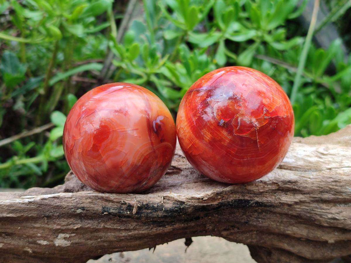 Polished Carnelian Agate Gemstone Spheres x 6 From Madagascar - Toprock Gemstones and Minerals 