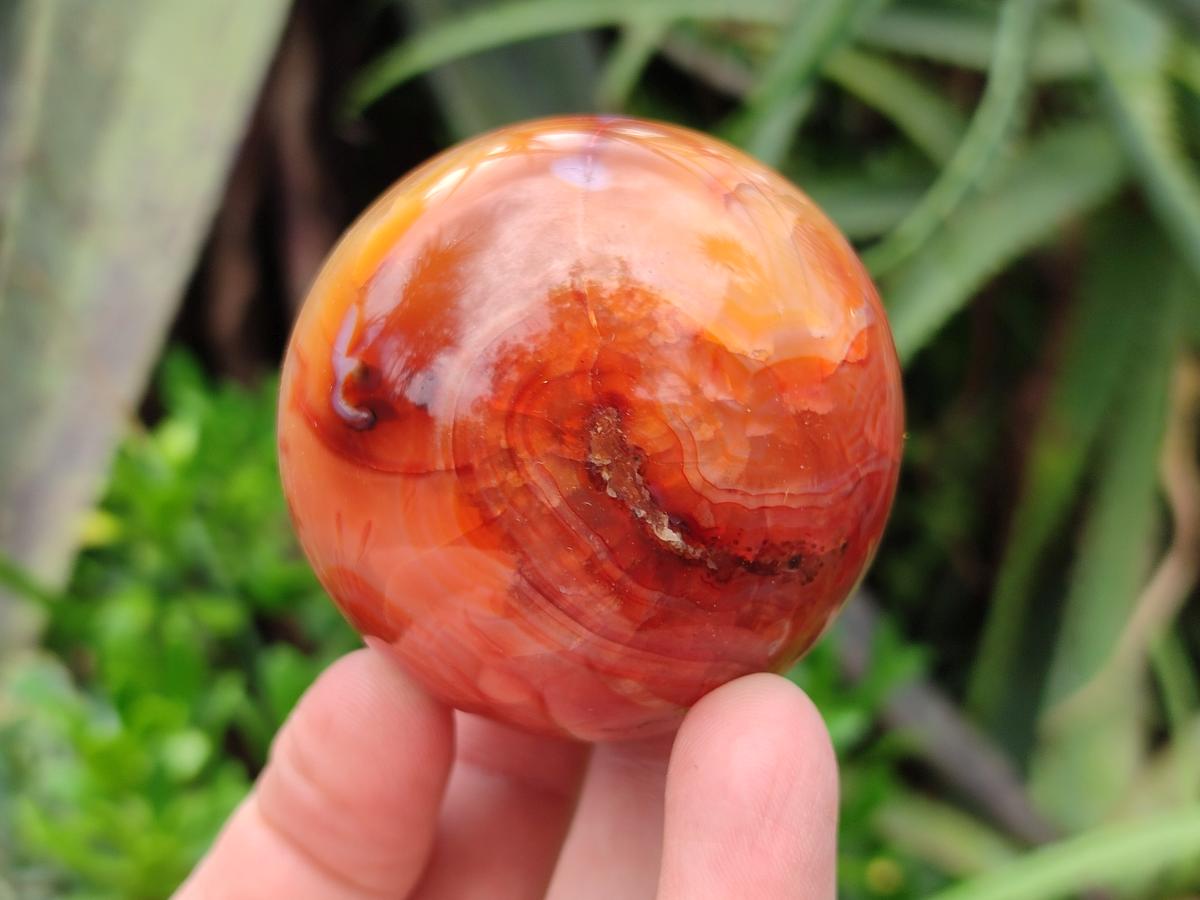 Polished Carnelian Agate Gemstone Spheres x 6 From Madagascar