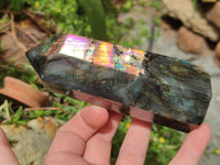 Polished Labradorite Display Crystals x 3 From Madagascar