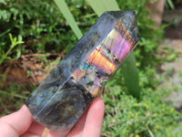 Polished Labradorite Display Crystals x 3 From Madagascar