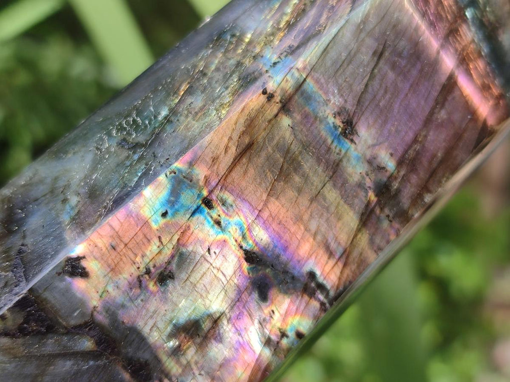 Polished Labradorite Display Crystals x 3 From Madagascar