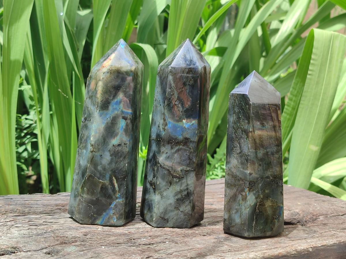 Polished Labradorite Display Crystals x 3 From Madagascar