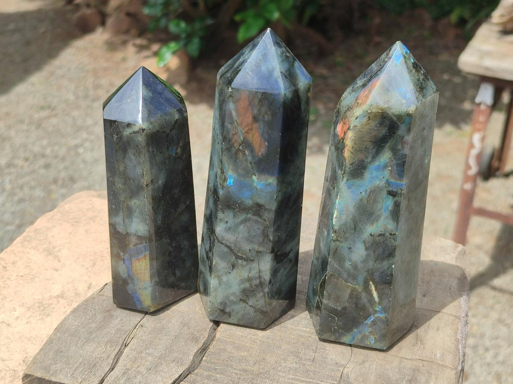 Polished Labradorite Display Crystals x 3 From Madagascar