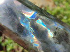 Polished Labradorite Display Crystals x 3 From Madagascar