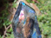 Polished Labradorite Display Crystals x 3 From Madagascar