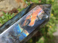 Polished Labradorite Display Crystals x 3 From Madagascar