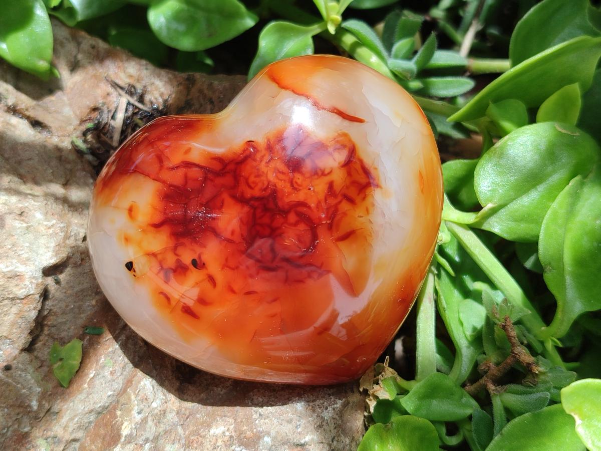Polished Carnelian Agate Gemstone Hearts x 6 From Madagascar
