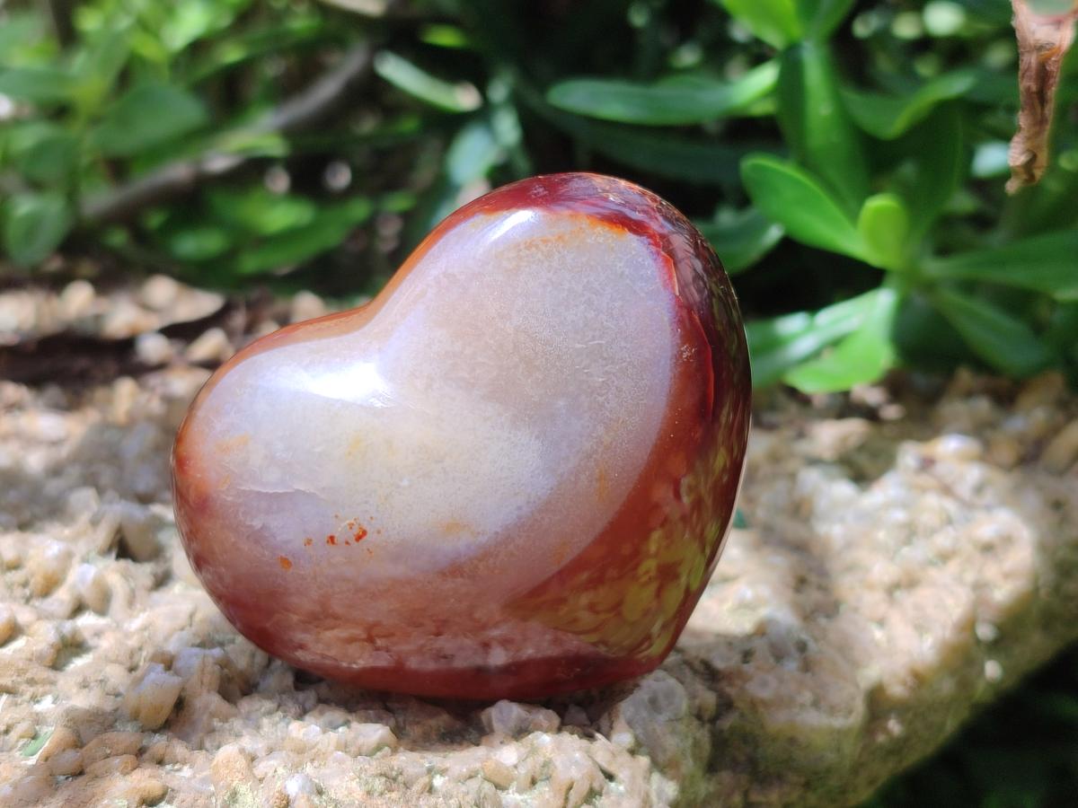 Polished Carnelian Agate Gemstone Hearts x 6 From Madagascar