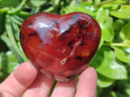 Polished Carnelian Agate Gemstone Hearts x 6 From Madagascar