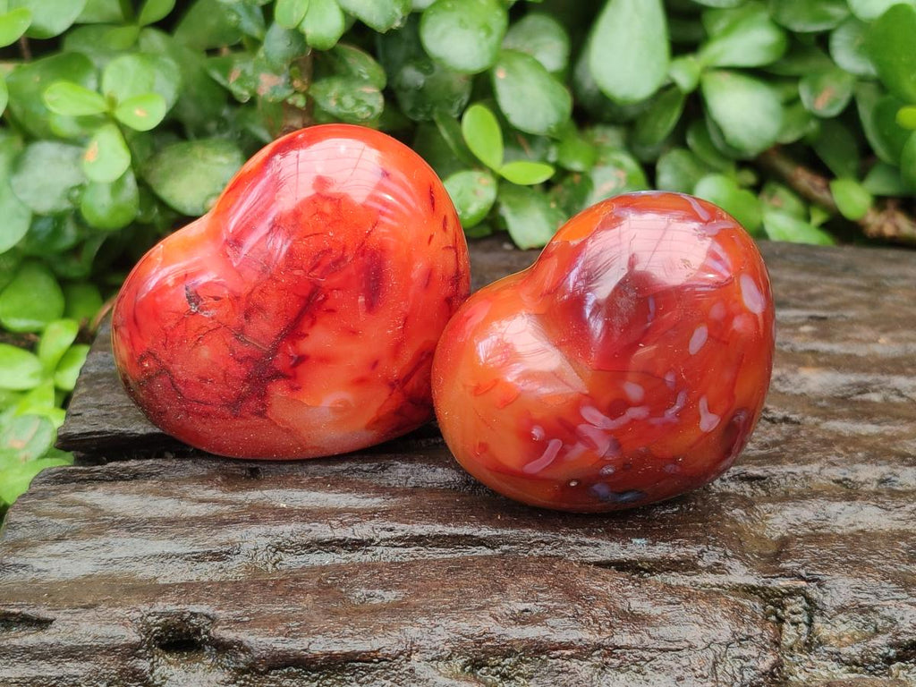 Polished Carnelian Agate Gemstone Hearts x 6 From Madagascar