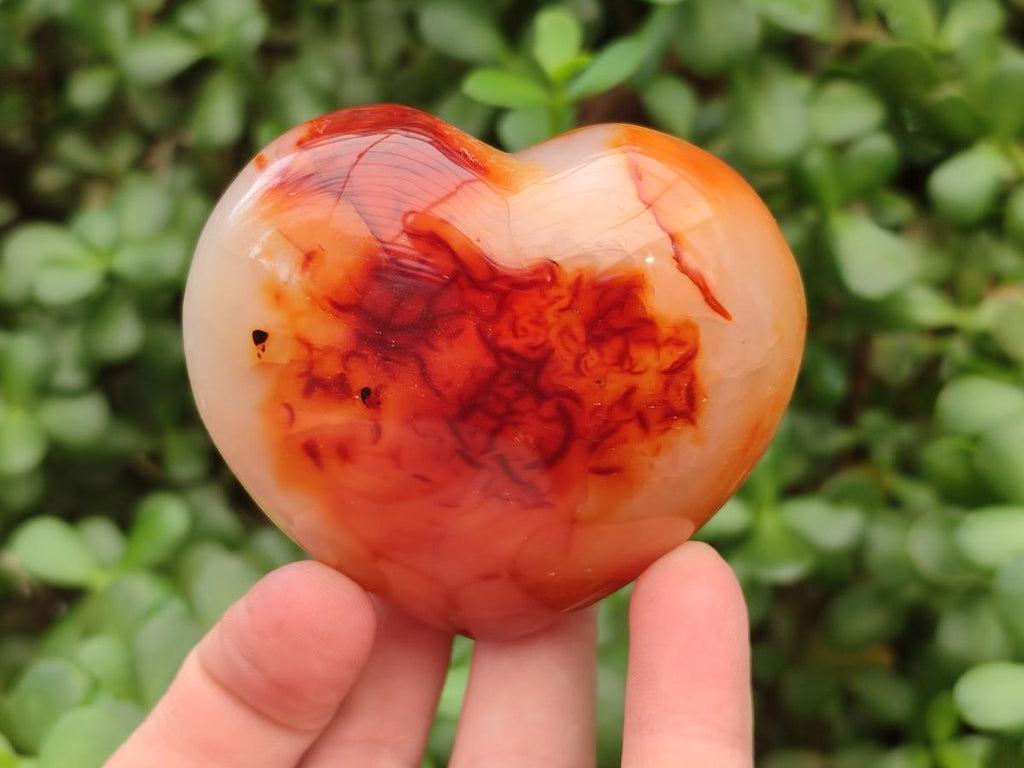 Polished Carnelian Agate Gemstone Hearts x 6 From Madagascar
