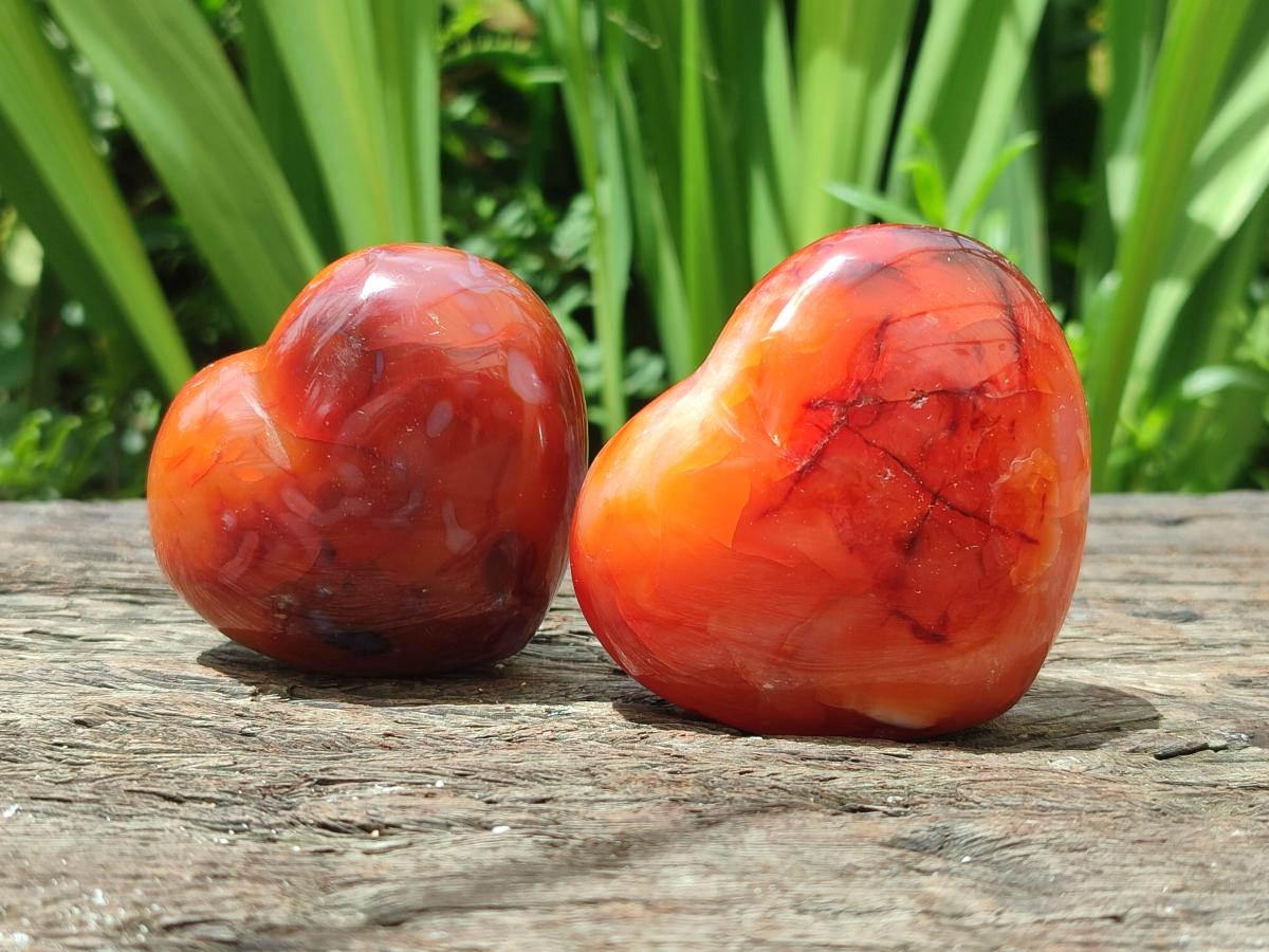 Polished Carnelian Agate Gemstone Hearts x 6 From Madagascar