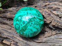 Polished Malachite Spheres x 2 From Congo
