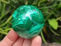 Polished Malachite Spheres x 2 From Congo