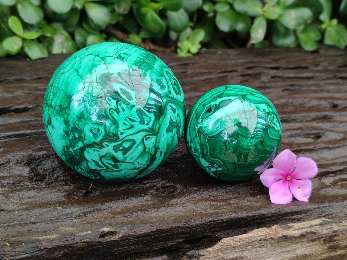 Polished Malachite Spheres x 2 From Congo
