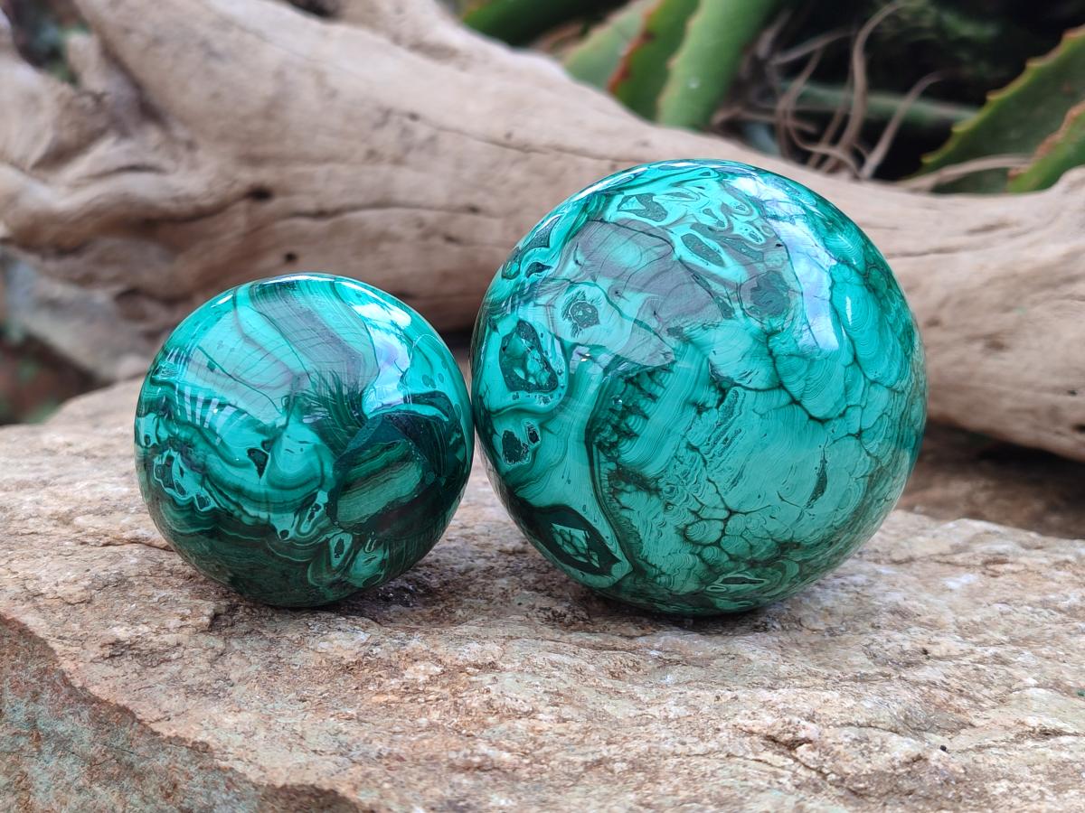 Polished Malachite Spheres x 2 From Congo