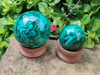Polished Malachite Spheres x 2 From Congo