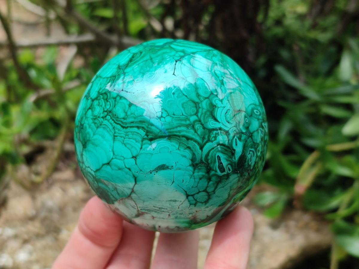 Polished Malachite Spheres x 2 From Congo