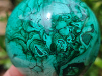 Polished Malachite Spheres x 2 From Congo