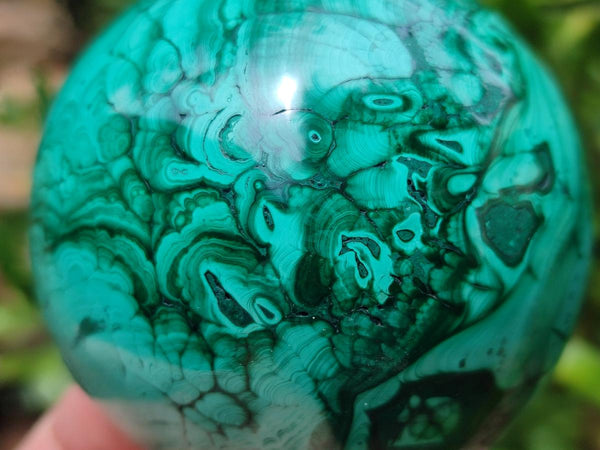 Polished Malachite Spheres x 2 From Congo