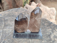 Polished Morion Smokey Quartz and Smokey Citrine Crystals x 6 From Madagascar