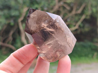 Polished Morion Smokey Quartz and Smokey Citrine Crystals x 6 From Madagascar