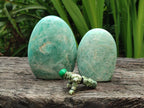 Polished Amazonite Standing Free Form x 12 From Madagascar - Toprock Gemstones and Minerals 