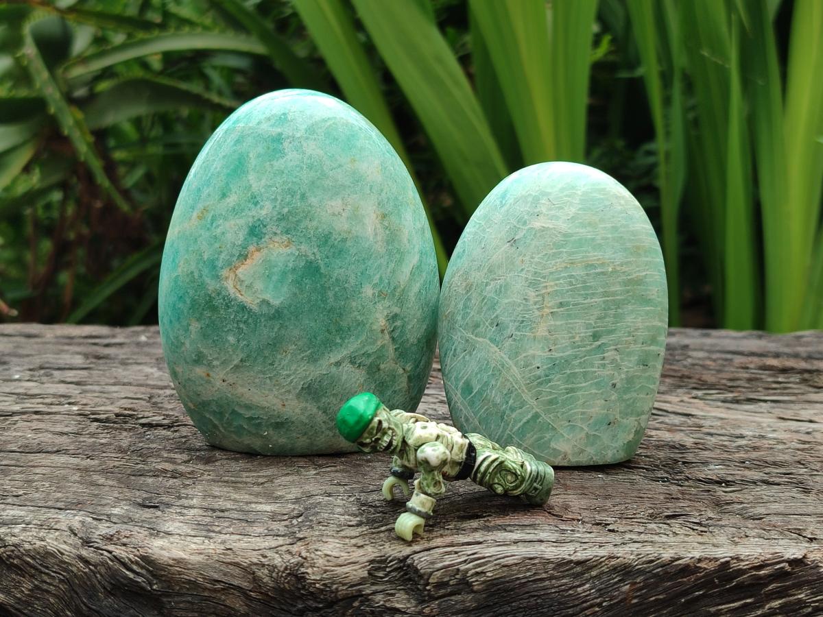 Polished Amazonite Standing Free Form x 12 From Madagascar - Toprock Gemstones and Minerals 