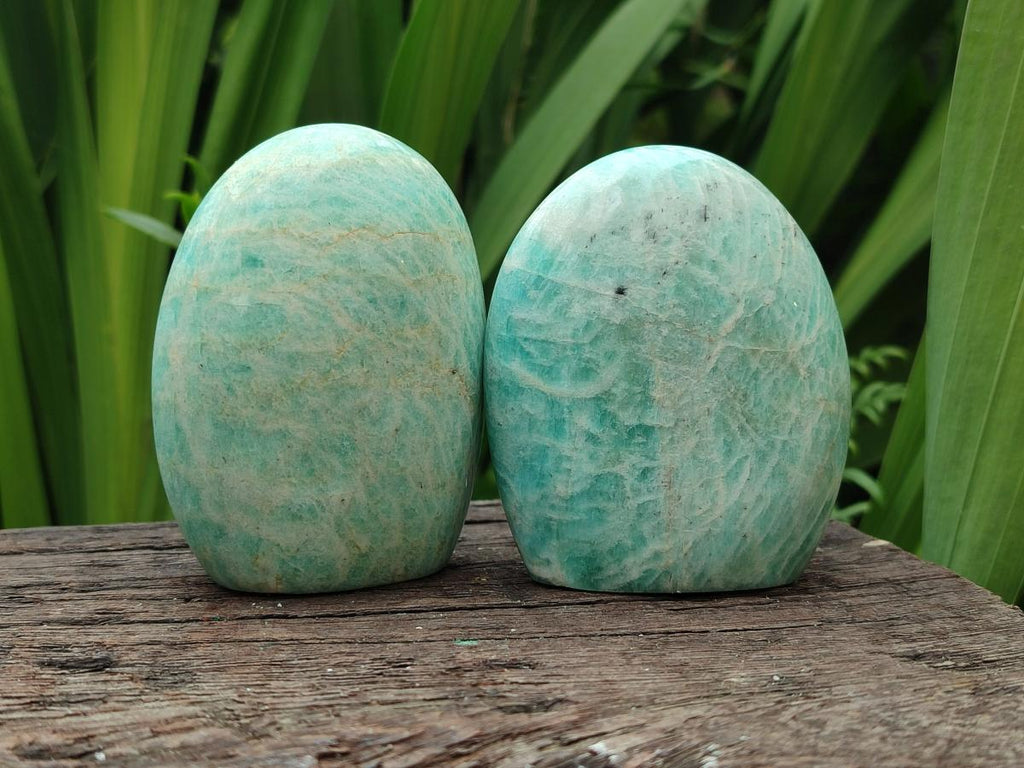 Polished Amazonite Standing Free Form x 12 From Madagascar - Toprock Gemstones and Minerals 