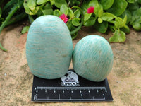 Polished Amazonite Standing Free Form x 12 From Madagascar