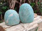 Polished Amazonite Standing Free Form x 12 From Madagascar - Toprock Gemstones and Minerals 