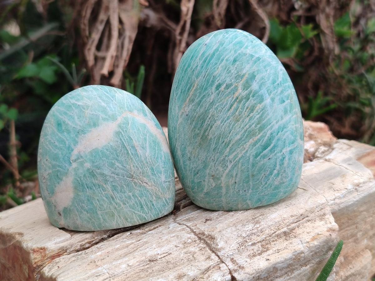 Polished Amazonite Standing Free Form x 12 From Madagascar - Toprock Gemstones and Minerals 